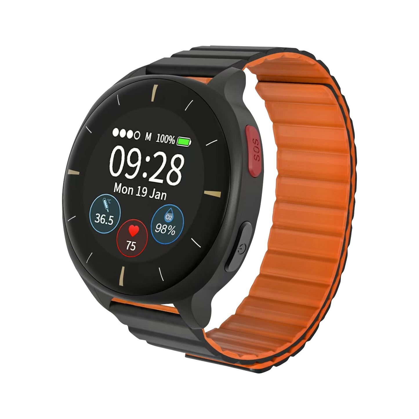 Vital Sign Monitor Watch IoT 24Hour Personal Alarm, Fall Detection, Heart Rate, Blood Pressure, SpO2 & GPS SOS Alerts
