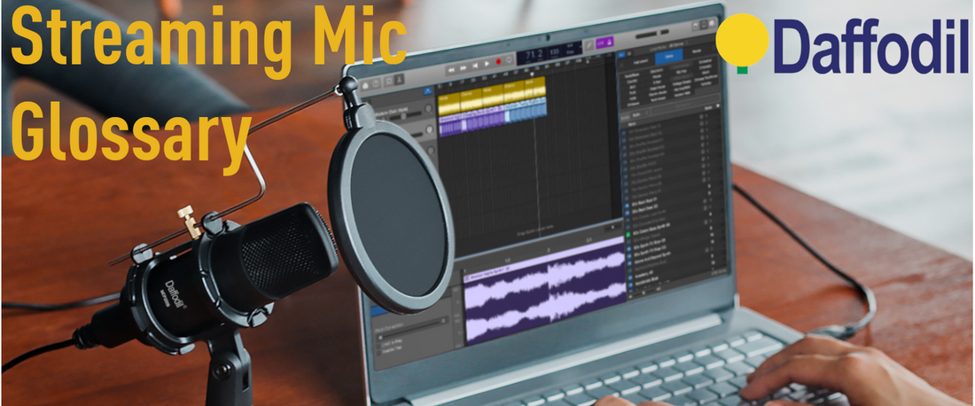 The Streaming Microphone Feature Glossary