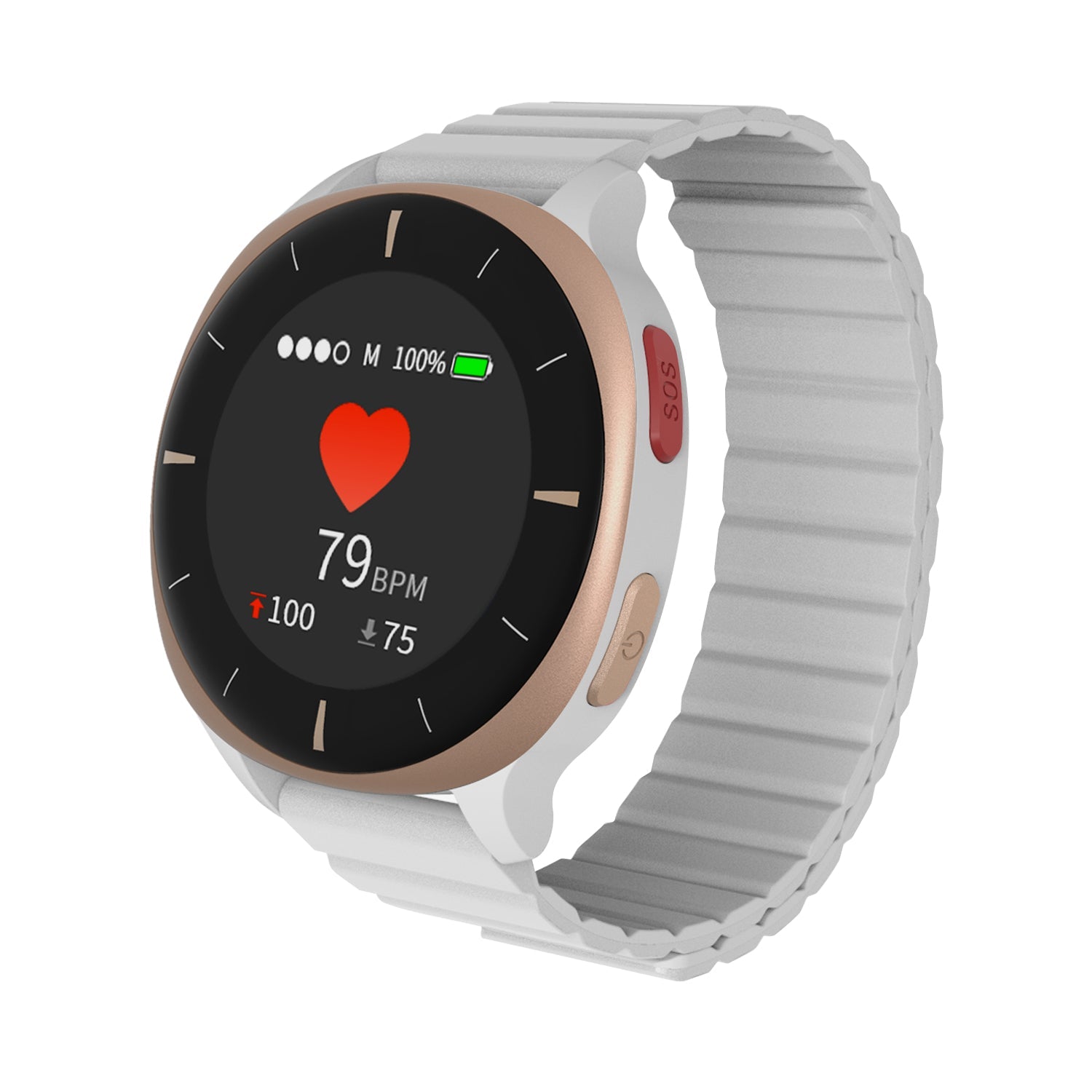 Vital Sign Monitor Watch IoT 24Hour Personal Alarm, Fall Detection, Heart Rate, Blood Pressure, SpO2 & GPS SOS Alerts
