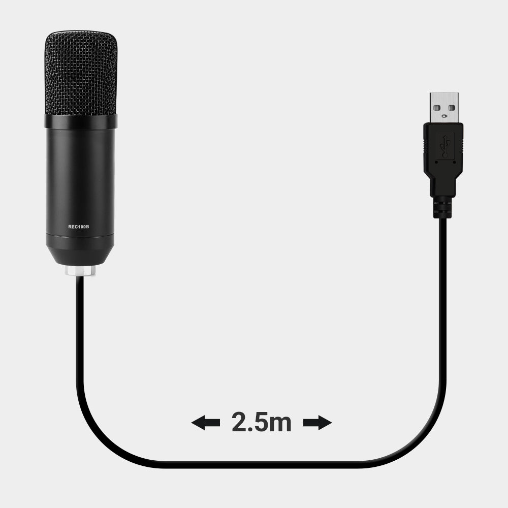 USB Gaming Studio Condenser Microphone Professional Bundle - August REC100B